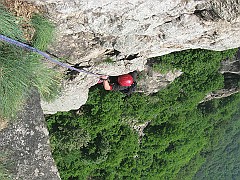 IMG_2461