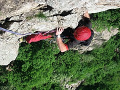 IMG_2462