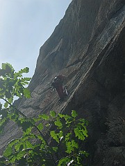 IMG_2468