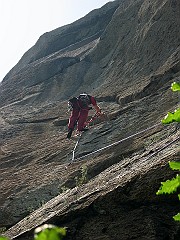 IMG_2471