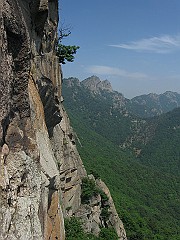 IMG_2472