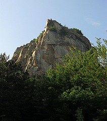 IMG_2483
