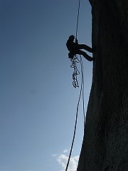 IMG_2480