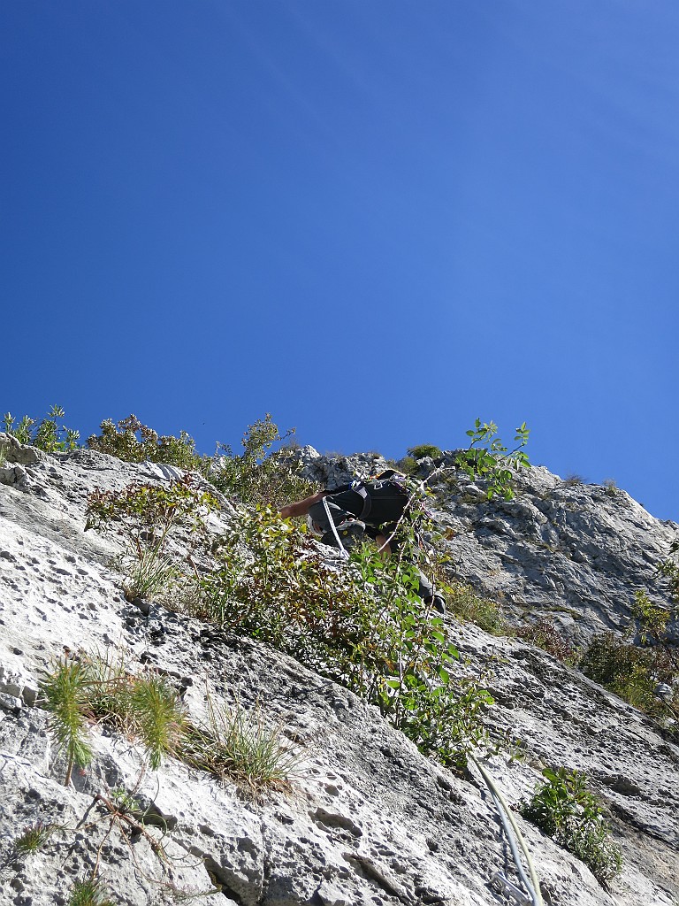 IMG_7811.JPG