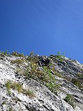IMG_7811