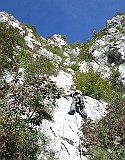 IMG_7817