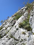 IMG_7819