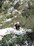 IMG_7824