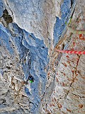 IMG-20190319-WA0016