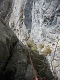 IMG_0150