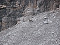 IMG_1657