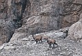 IMG_1661