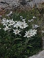IMG_1674