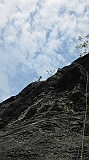 IMG_2355