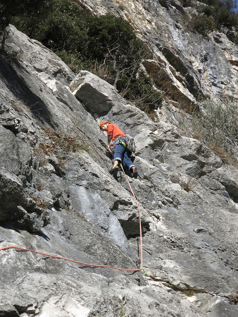 IMG_6445.JPG