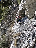 IMG_6441