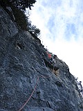 IMG_6455