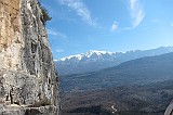 IMG_1078