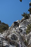 IMG_1102
