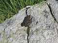 IMG_1299