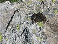 IMG_1301
