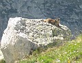 IMG_1306