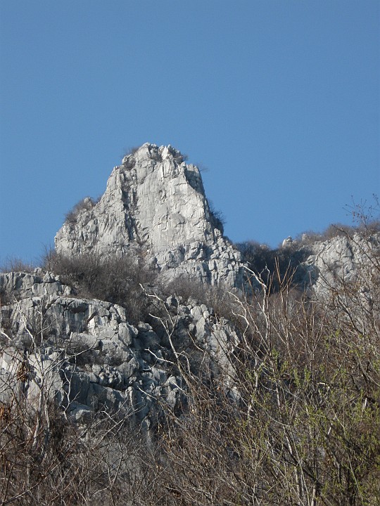 IMG_7818.JPG