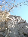 DSC06412