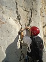 DSC06420