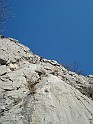 DSC06438