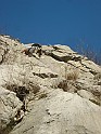 DSC06441