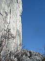 DSC06463