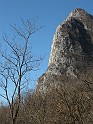 IMG_7798