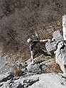 IMG_7804