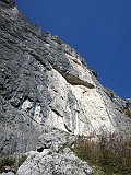 IMG_7884