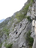 IMG_0115