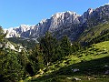 IMG_1403