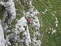 IMG_1408
