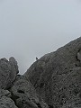 IMG_1420