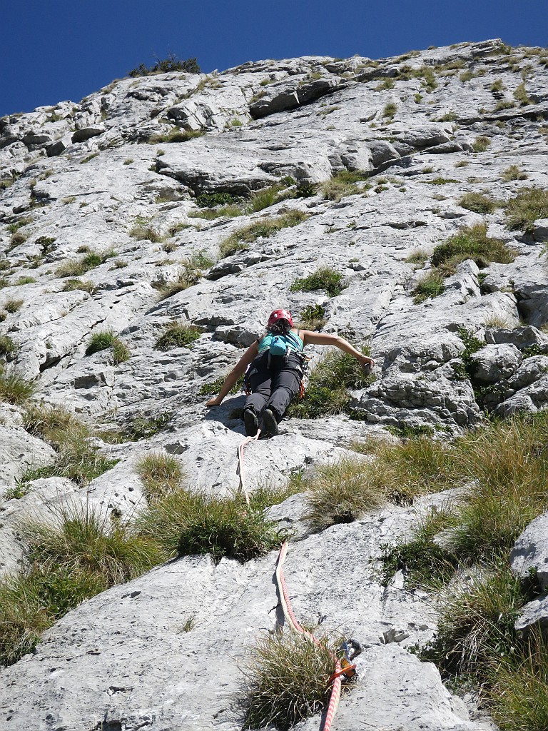 IMG_7647.JPG