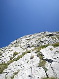 IMG_7646