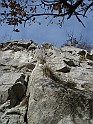DSC06353