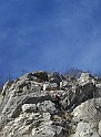 DSC06361