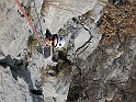 IMG_7779