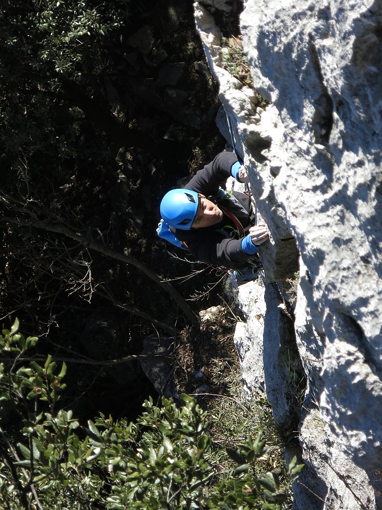 IMG_6556.JPG