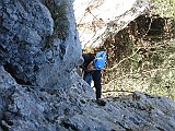 IMG_6545