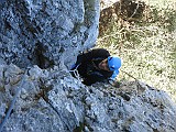IMG_6549