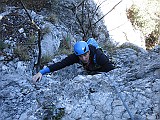 IMG_6551