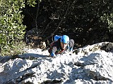 IMG_6552