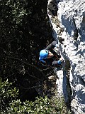 IMG_6555